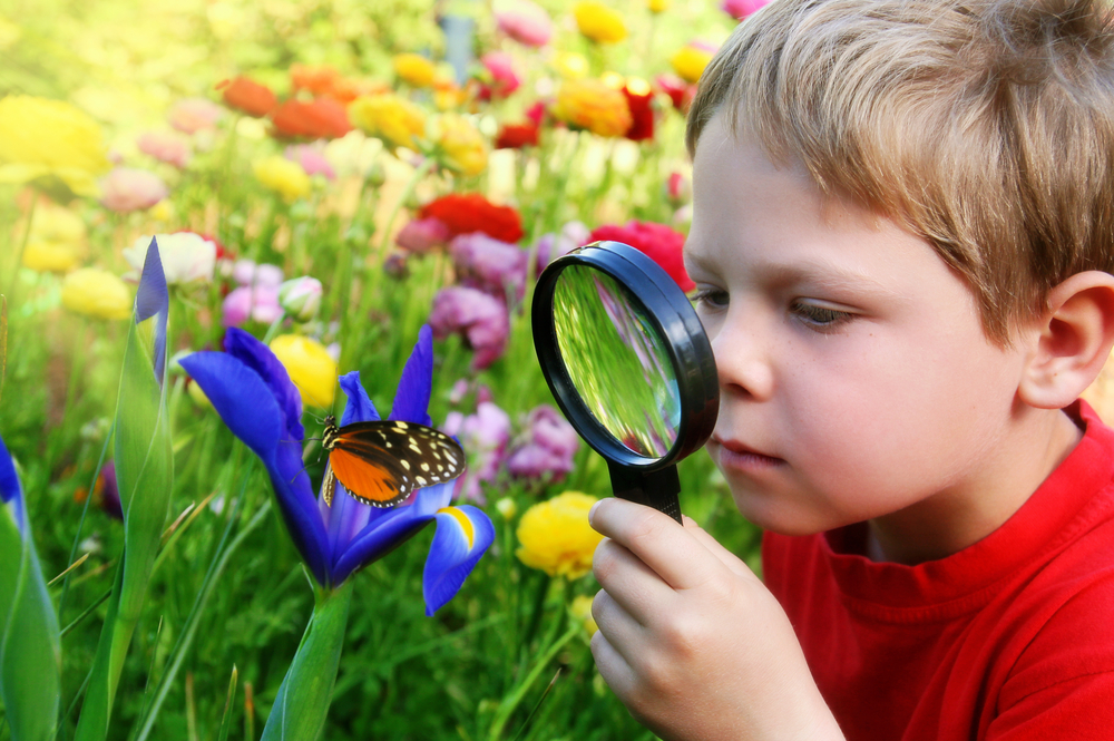 How important is curiosity to your unique strengths? How does curiosity support market leadership and growth? The ability to learn, to discover, to innovate, to question, to be creative, to develop wisdom, to wonder, to move you mind thoughts and feelings to another level, all reside in the mind of the curious. However [...]